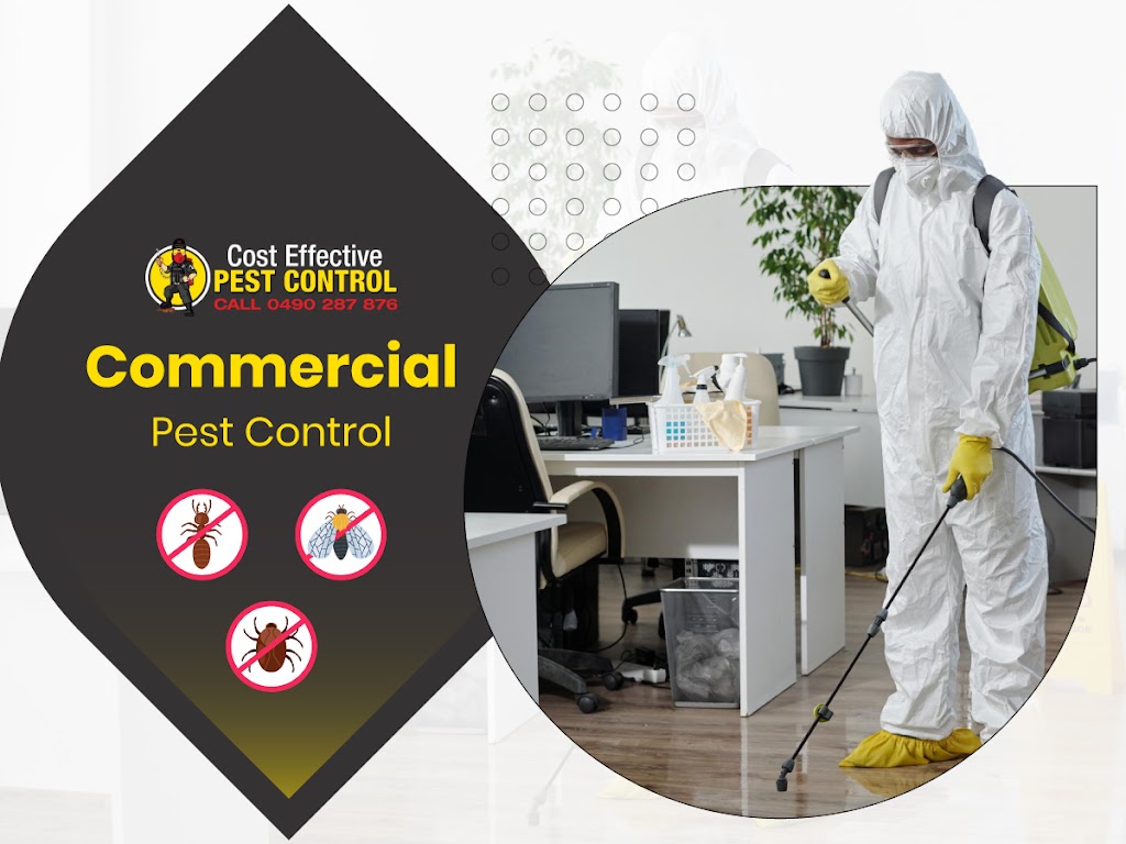 Cost Effective Pest Control | 117 Lake Entrance Rd, Barrack Heights NSW 2528, Australia | Phone: 0490 287 876