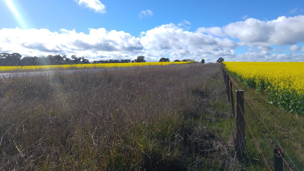 Mount Ophir Bushland Reserve | park | Chiltern-Rutherglen Rd, Rutherglen VIC 3685, Australia | 131963 OR +61 131963