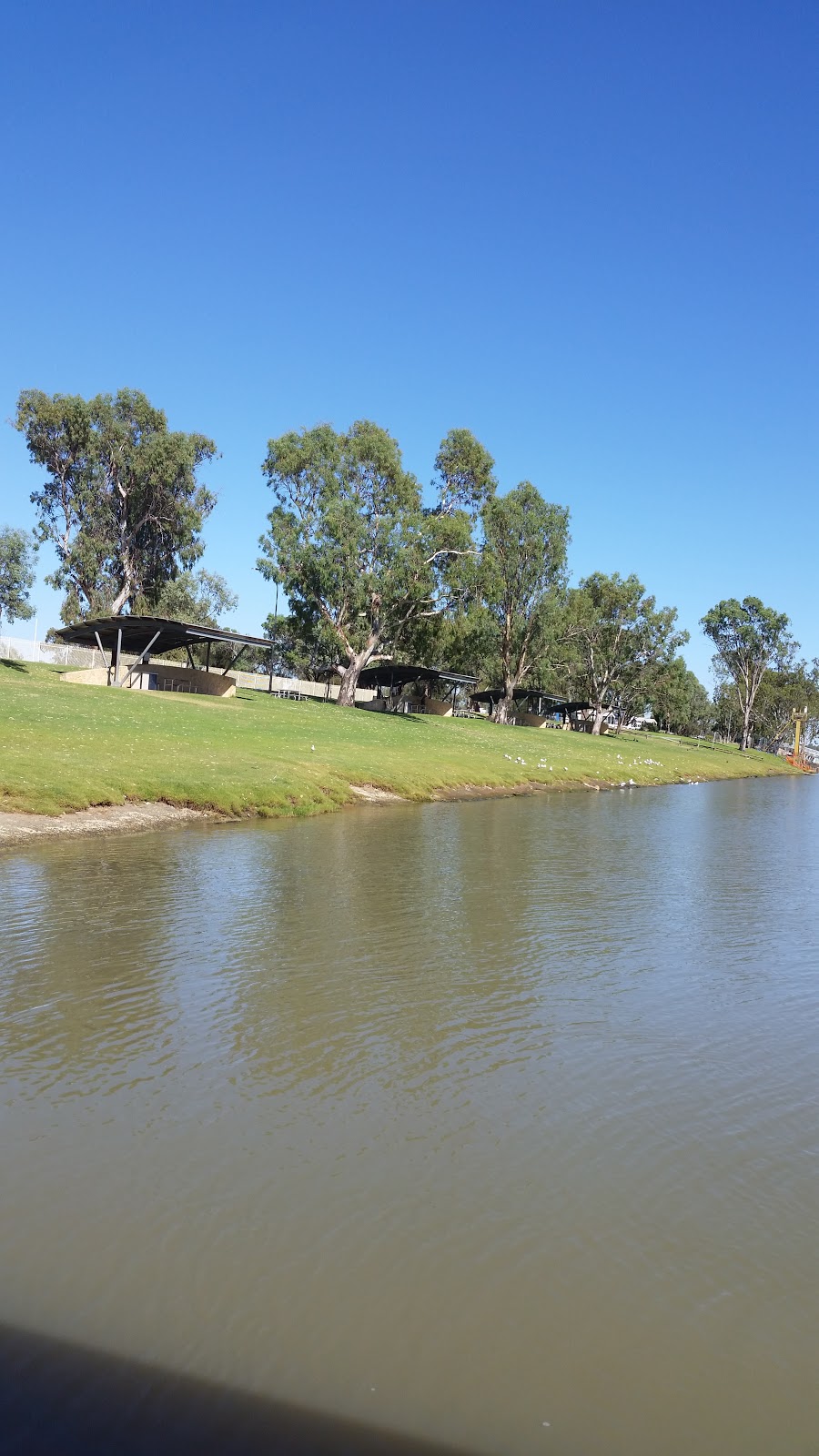 Lions Park | park | Waikerie SA 5330, Australia