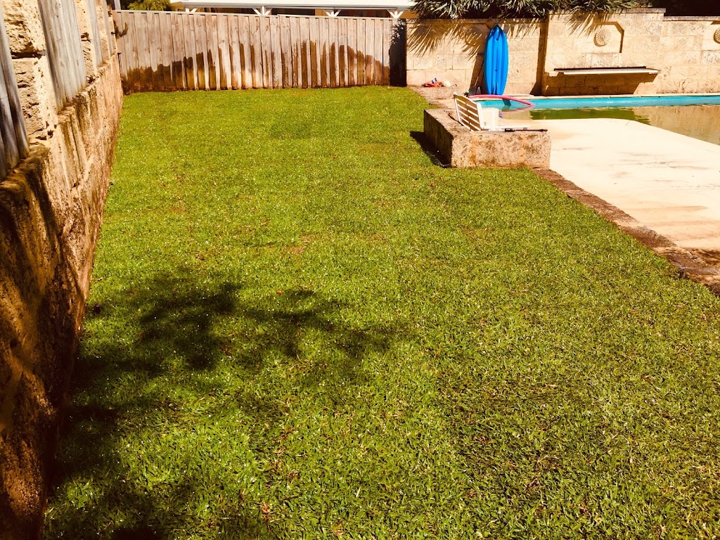 Carabooda Lawn |  | 288 Carabooda Rd, Carabooda WA 6033, Australia | 0894075288 OR +61 8 9407 5288