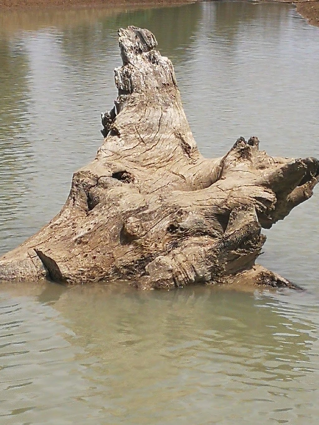 Narromine Wetlands | The McGrane Way, Narromine NSW 2821, Australia