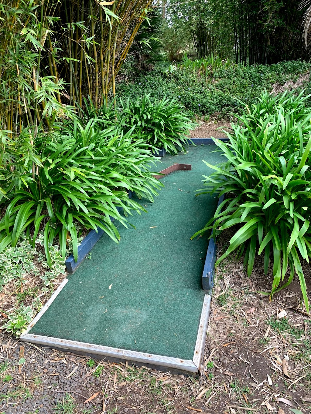 Golf Gardens | cafe | 314 Harmans Mill Rd, Metricup WA 6280, Australia | 0478002036 OR +61 478 002 036