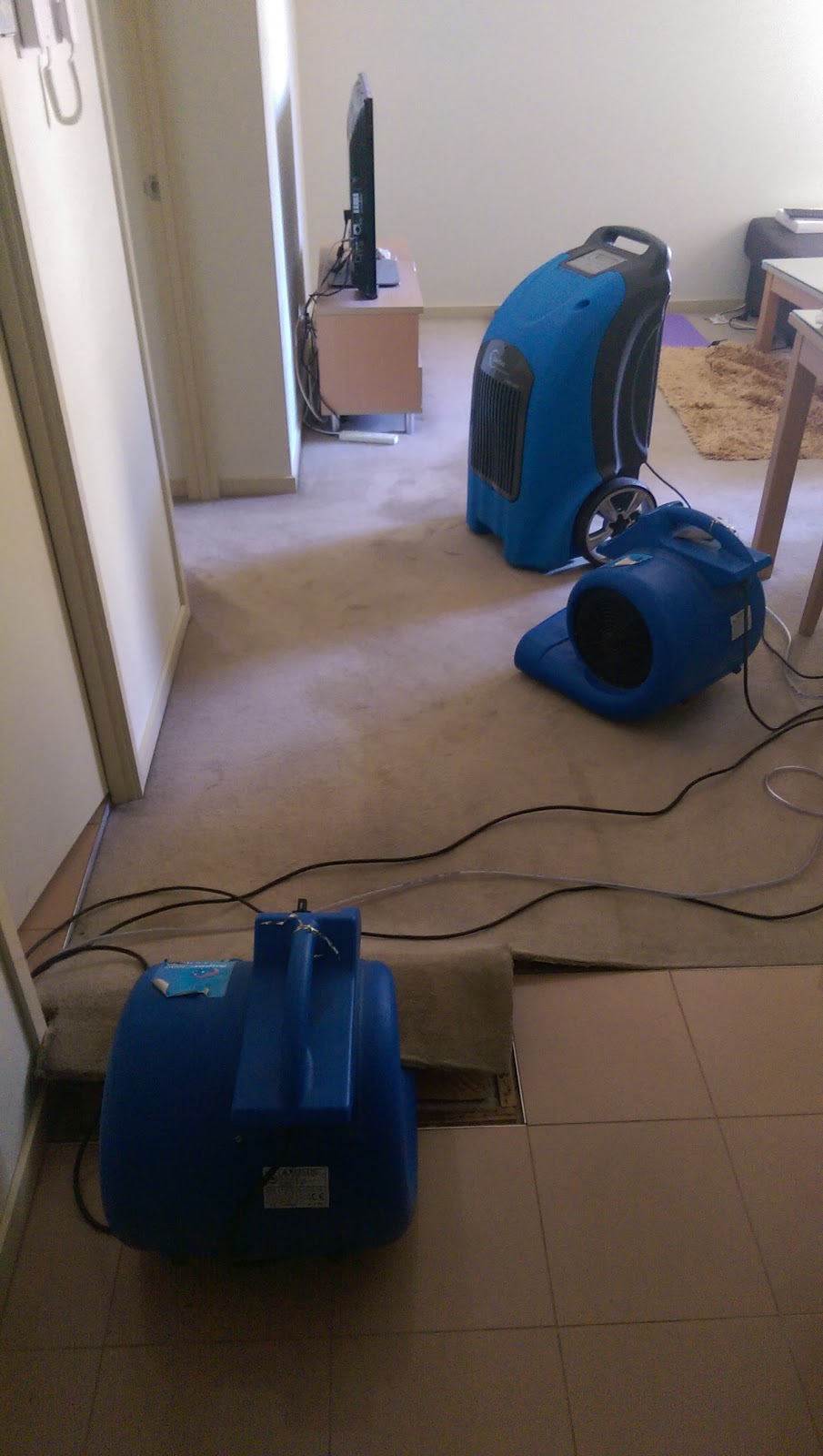 Bright Aire -Carpet Cleaners, Pest Control & Sunshine Coast Floo | laundry | Premier Circuit, Warana QLD 4575, Australia | 0754439000 OR +61 7 5443 9000