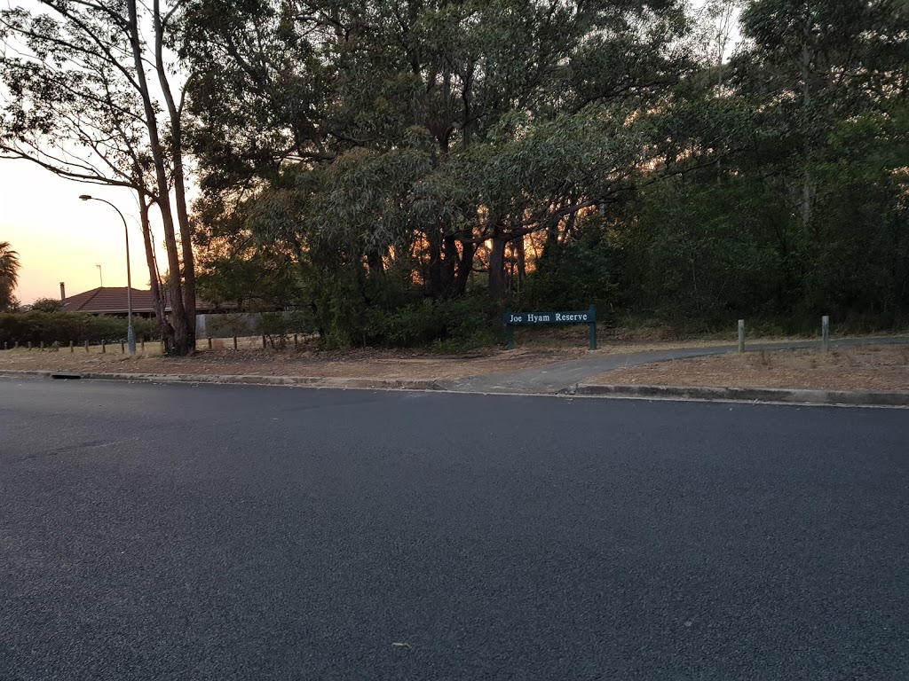 Joe Hyam Park | park | 25 Gunyuma Cres, North Nowra NSW 2541, Australia
