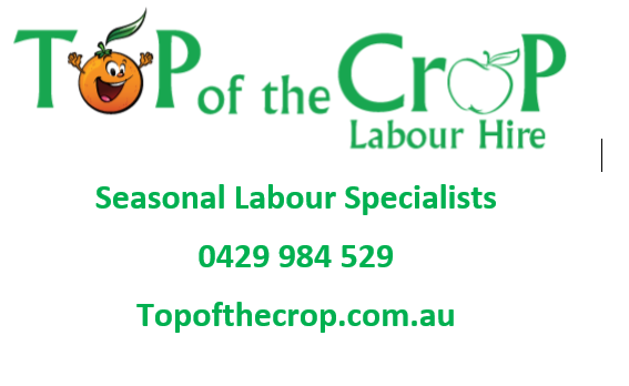 Top of the Crop Labour Hire | 22 Harris St, Beaconsfield QLD 4740, Australia | Phone: 0429 984 529