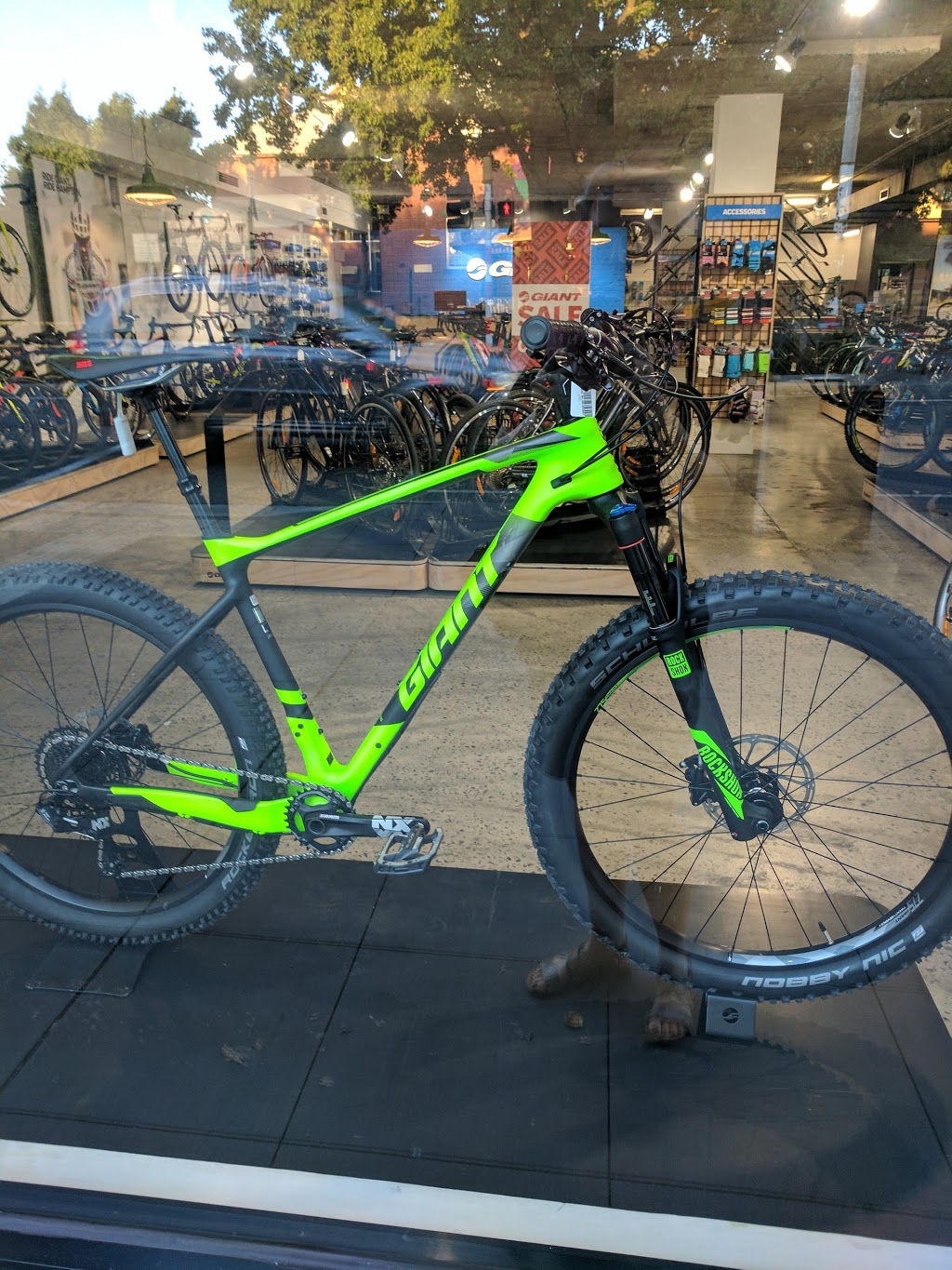 Giant Hampton | bicycle store | 475 Hampton St, Hampton VIC 3188, Australia | 0395985315 OR +61 3 9598 5315