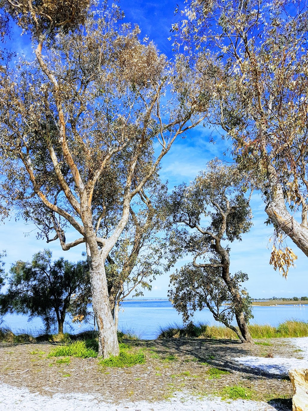 Osprey park | Erskine WA 6210, Australia