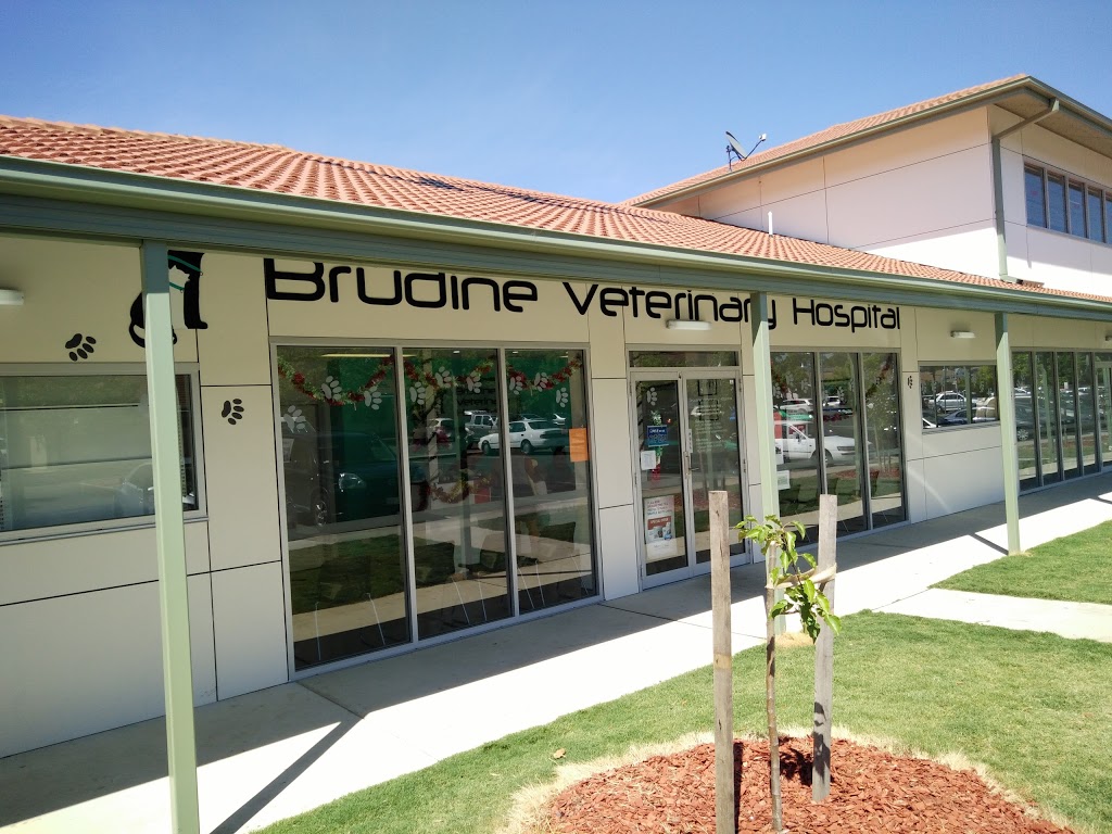 Brudine Veterinary Hospital | Unit 4/5 6 Charnwood Place,, Charnwood ACT 2615, Australia | Phone: (02) 6258 1664