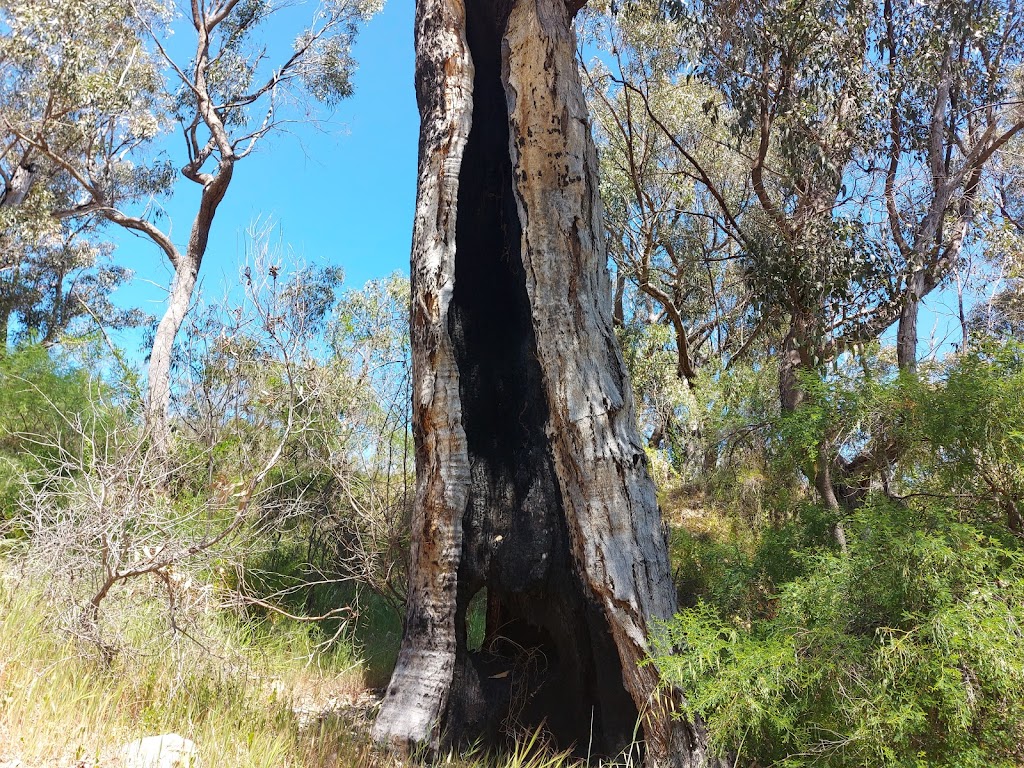 Boomerang Gorge - Dwerta Mia Walk Trail | Yanchep WA 6035, Australia | Phone: (08) 9303 7759