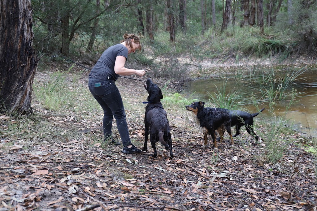Neika & Co. Dog Adventures |  | 92 Dudgeons Ln, Bangalow NSW 2479, Australia | 0409149853 OR +61 409 149 853