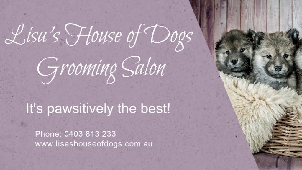 Lisas House of Dogs | Blissett Dr, Bedfordale WA 6112, Australia | Phone: 0403 813 233