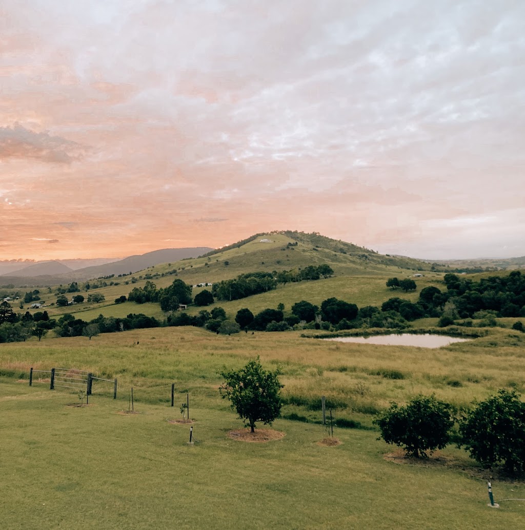 Fig Tree Hill Estate | 305 Sugarloaf Rd, Bunburra QLD 4310, Australia | Phone: 0400 980 166