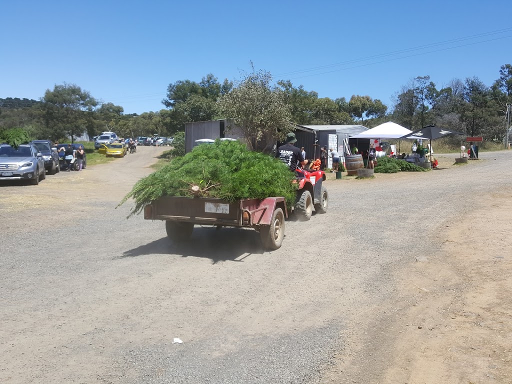 North Pole Christmas Trees Farm | 1000 Old Sydney Rd, Beveridge VIC 3064, Australia | Phone: (03) 9308 3571