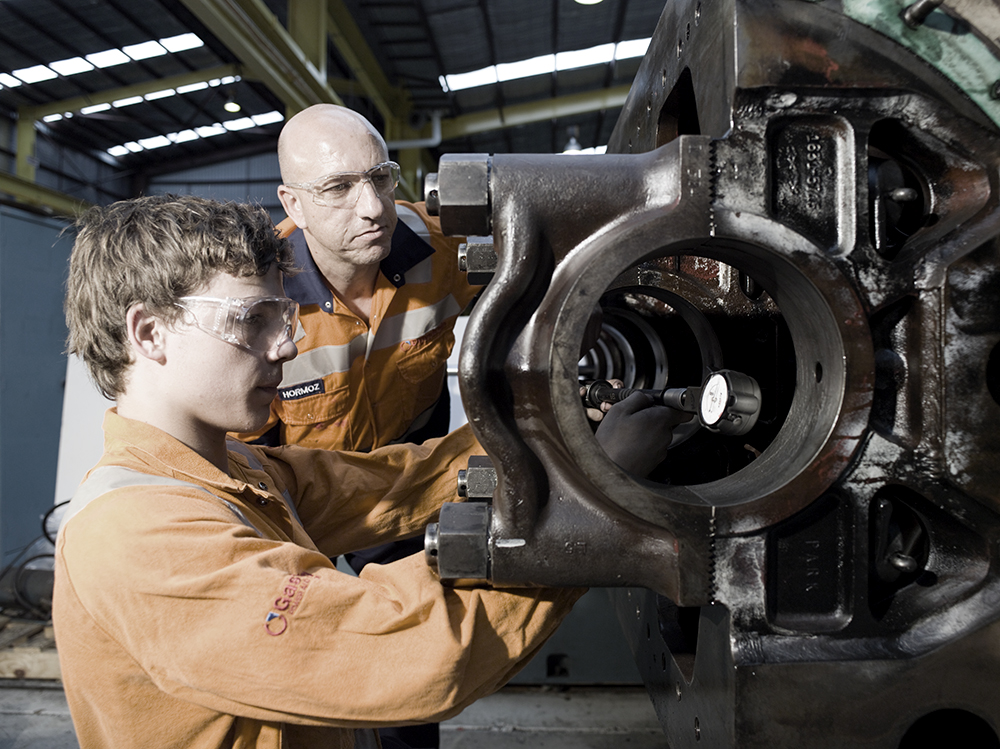 Drivetrain Power and Propulsion | car repair | 13 Firebrick Dr, Thornton NSW 2322, Australia | 0240882310 OR +61 2 4088 2310