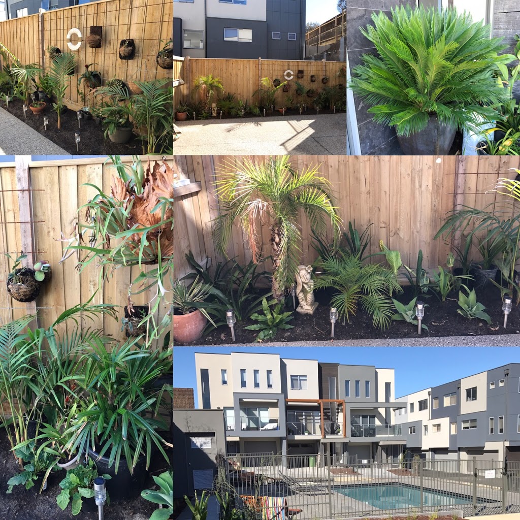 Tomson Property Rejuvenators | 5 Davit Court, Safety Beach VIC 3936, Australia | Phone: 0418 102 080