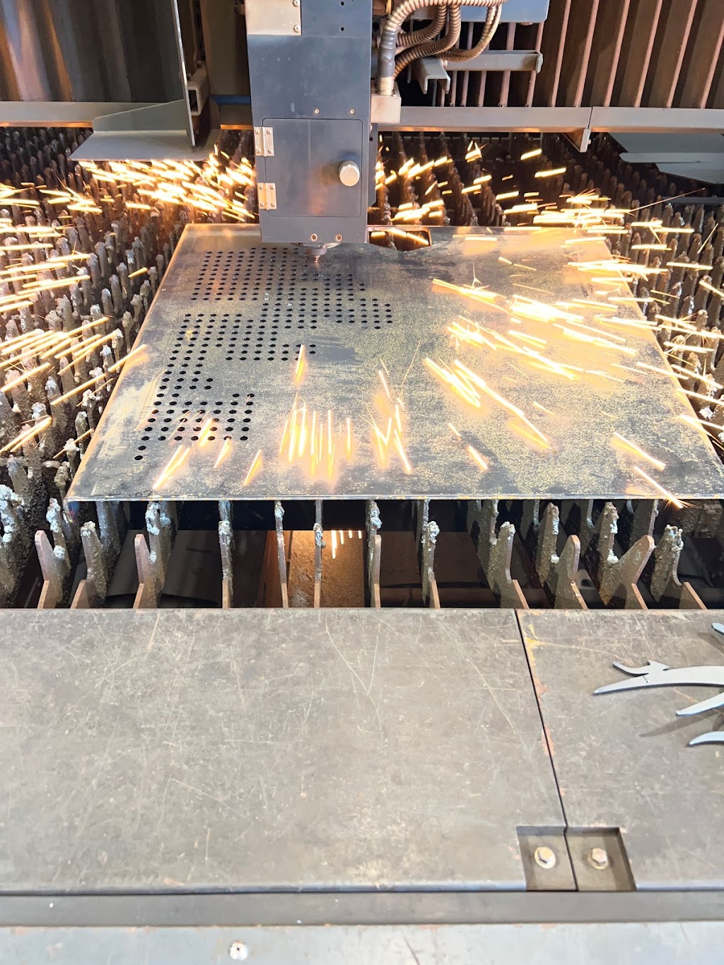 Taree Laser | 18 Flametree Cl, Taree NSW 2430, Australia | Phone: 0413 851 879