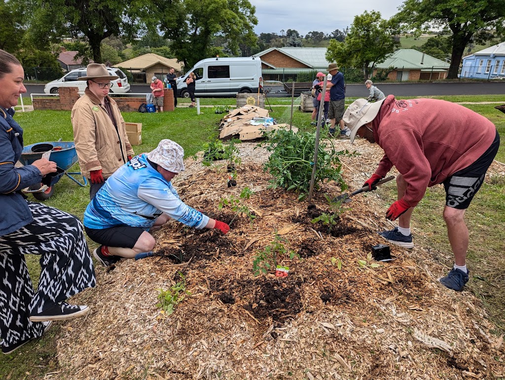 Harvest Haven Community Garden | 58 Murray St, Tumbarumba NSW 2653, Australia | Phone: 0429 654 734