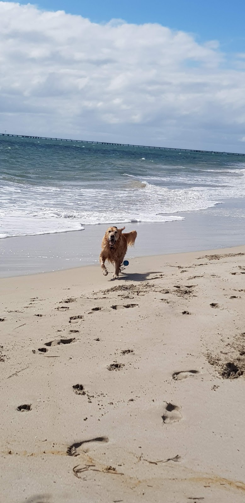 Geographe Bay Yacht Club | 1 King St, West Busselton WA 6280, Australia | Phone: (08) 9752 2522