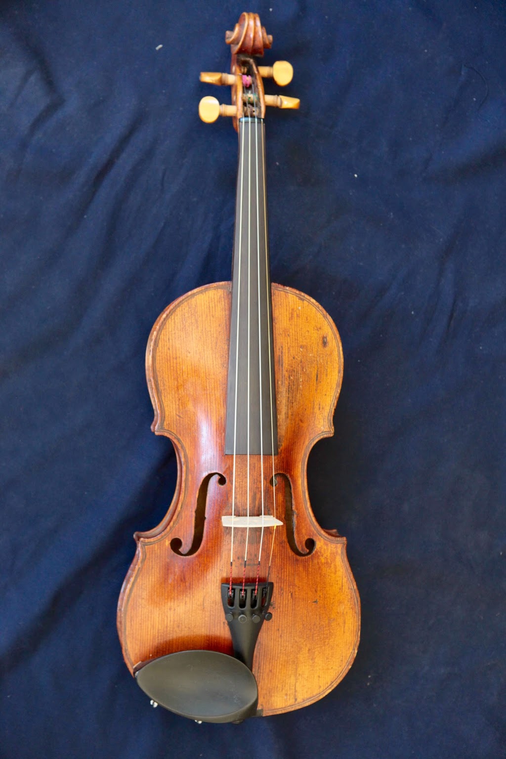 The Violin Shop | electronics store | 22 Munro Pl, Curtin ACT 2605, Australia | 0261616003 OR +61 2 6161 6003