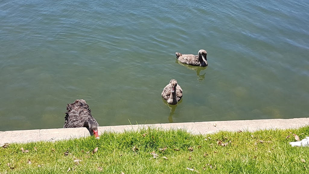 Albert Park Lake | Albert Park VIC 3206, Australia