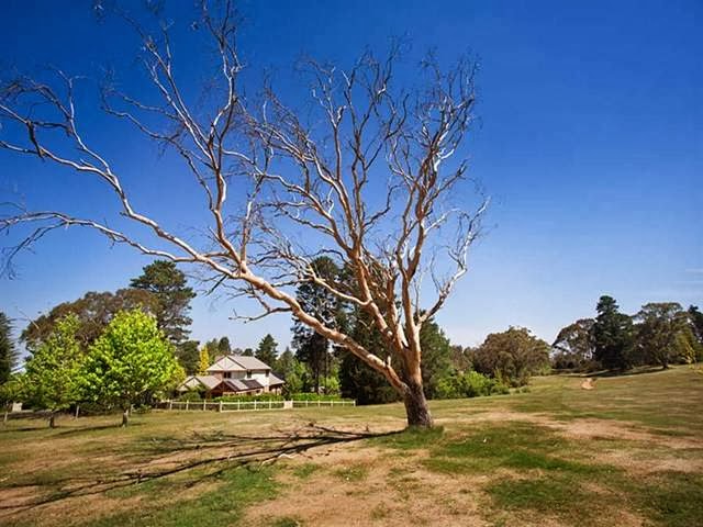 Stonelinks House - Leura Holiday Home |  | 17 Sublime Point Rd, Leura NSW 2780, Australia | 0418286064 OR +61 418 286 064