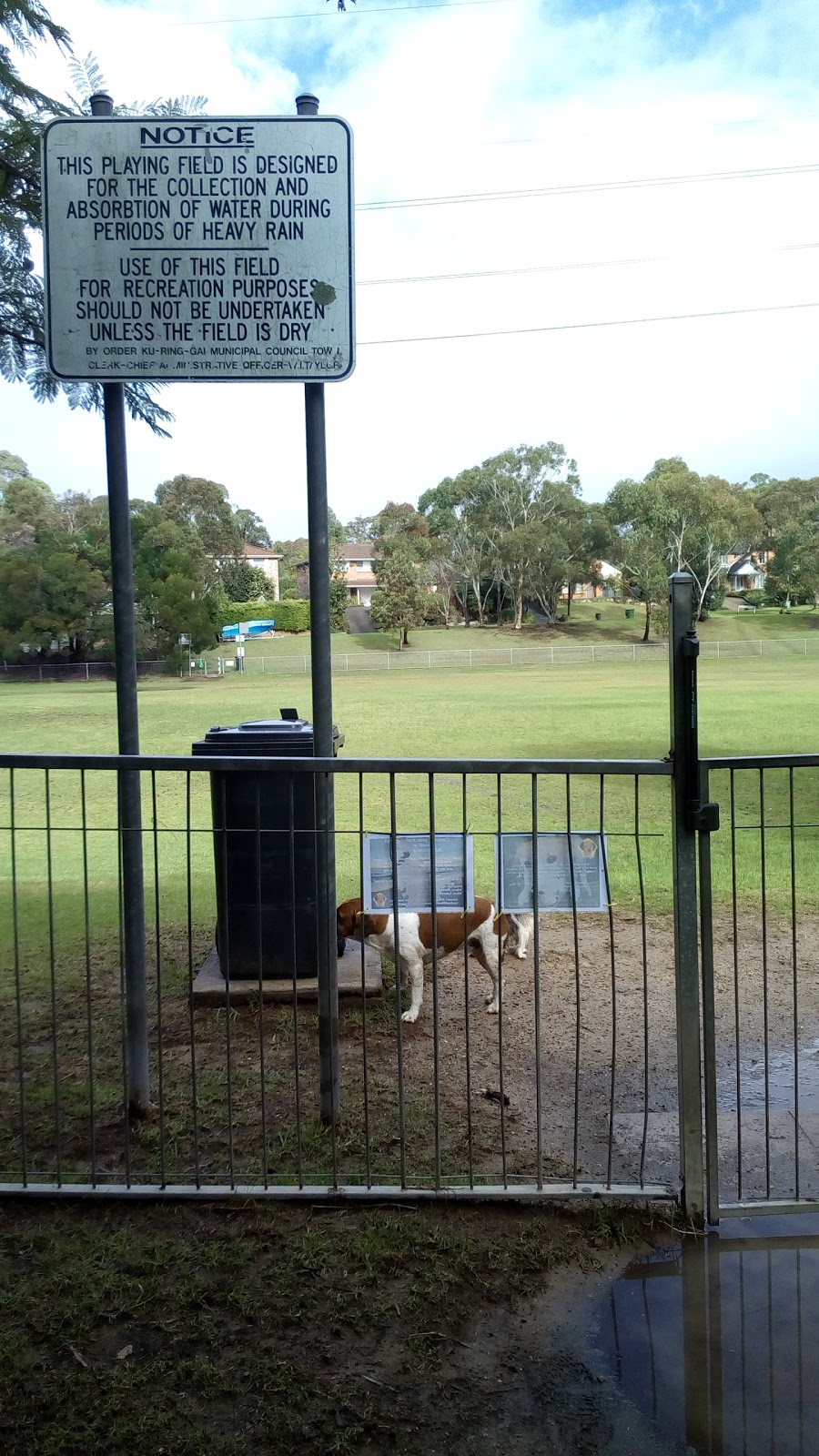 North Turramurra Dog Park Du Faur St, North Turramurra NSW 2074