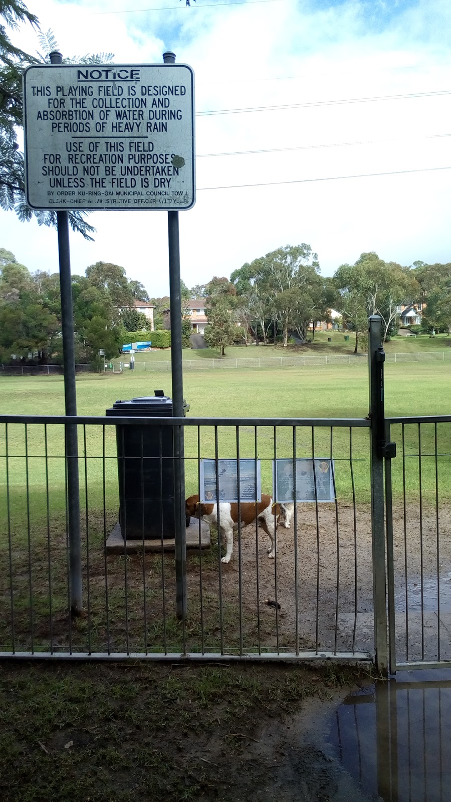 North Turramurra Dog Park | park | Du Faur St, North Turramurra NSW 2074, Australia | 0294240000 OR +61 2 9424 0000