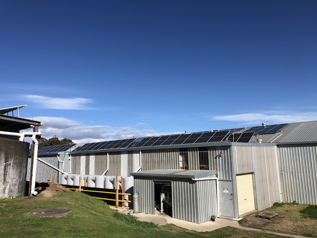 Quality Solar Central | 37 Farrier Cres, Hamlyn Terrace NSW 2259, Australia | Phone: 0488 704 696
