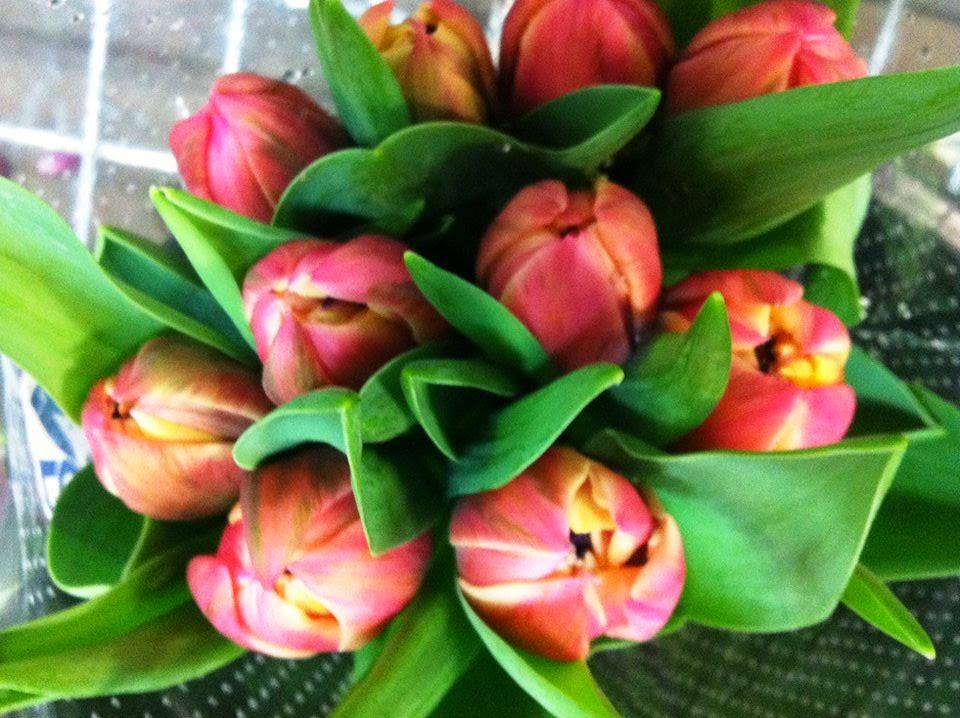 Fleur by philippe | florist | 12 High St, Lancefield VIC 3435, Australia | 0354292404 OR +61 3 5429 2404