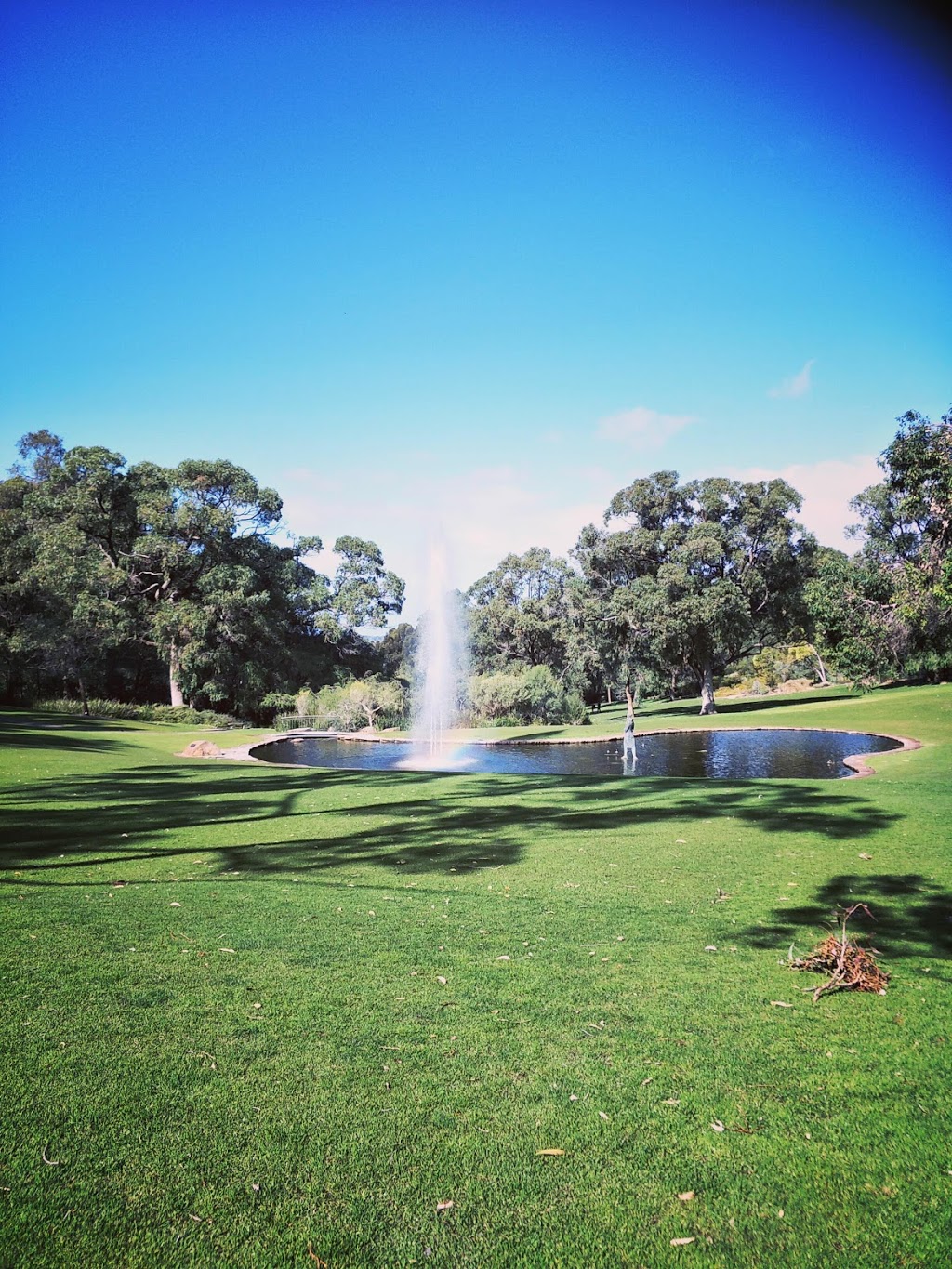 Rio Tinto Naturescape Kings Park | park | May Dr, Kings Park WA 6005, Australia | 0894803600 OR +61 8 9480 3600