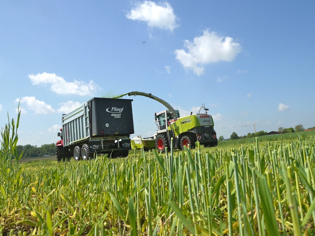 CLAAS Harvest Centre | car repair | 17 Creek St, Katanning WA 6317, Australia | 0898218900 OR +61 8 9821 8900