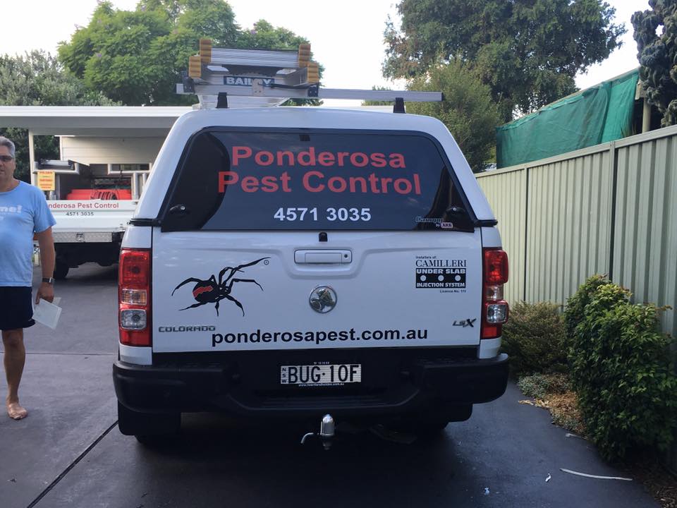 Ponderosa Pest Control | home goods store | 8 Pecks Rd, North Richmond NSW 2754, Australia | 0245713035 OR +61 2 4571 3035