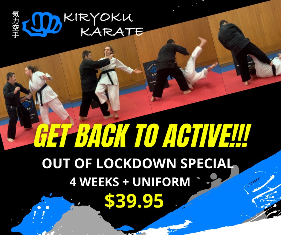 Kiryoku Karate | 30 Handsome Ave, Clyde North VIC 3978, Australia | Phone: 0400 582 081