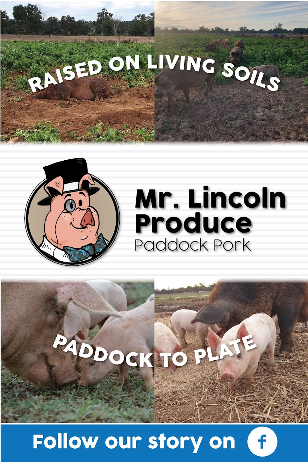 Mr Lincoln Produce | 3778 Castlereagh Hwy, Mendooran NSW 2842, Australia | Phone: 0459 090 028