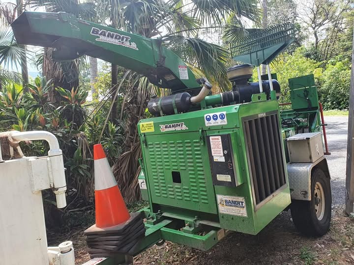 CNE Tree Services | 59 Jackson Ave, Sale VIC 3850, Australia | Phone: 0433 079 671