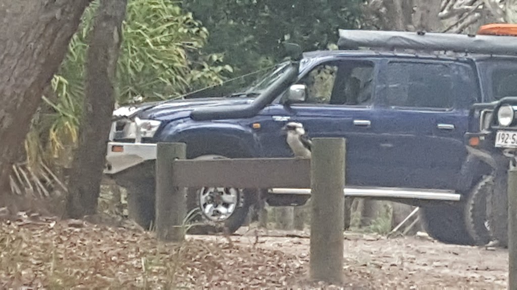 Waddy Point Top Campground | campground | Orchid Beach Rd, Fraser Island QLD 4581, Australia