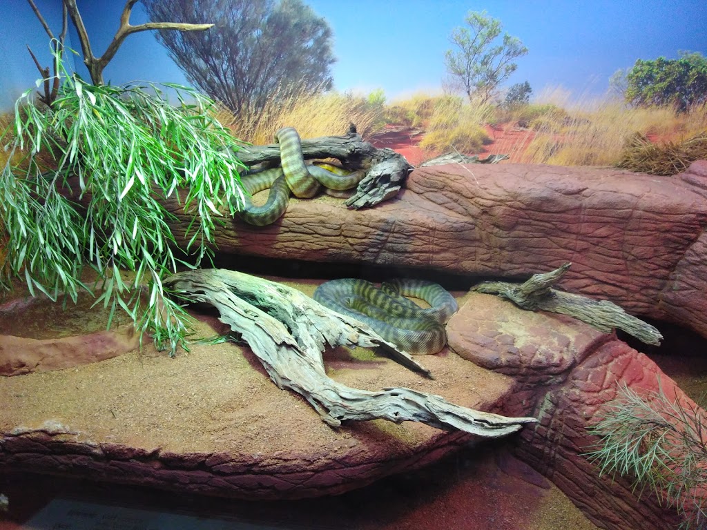 Reptile House | pet store | South Perth WA 6151, Australia