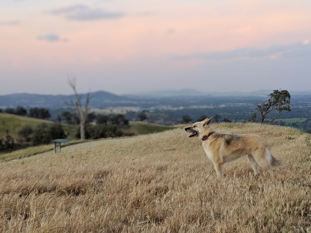 Huon Hill Lookout | tourist attraction | LOT 15, BAKERS Ln, Bandiana VIC 3694, Australia | 0260229300 OR +61 2 6022 9300