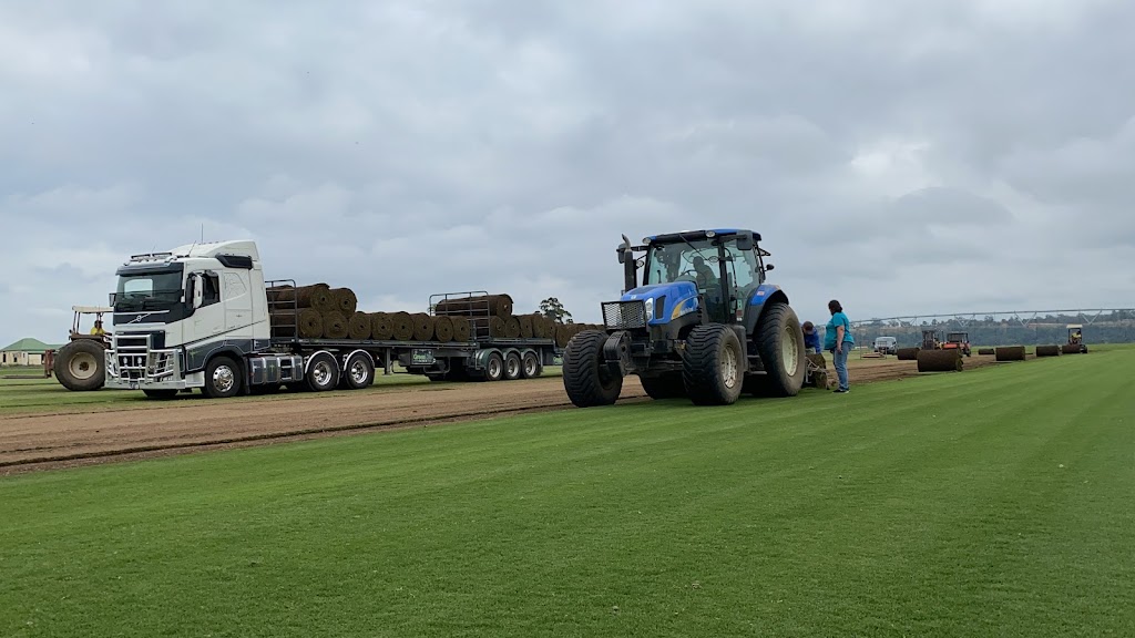 Green Life Turf Hunter Valley | 420 Long Point Rd E, Long Point NSW 2330, Australia | Phone: (02) 4587 8711