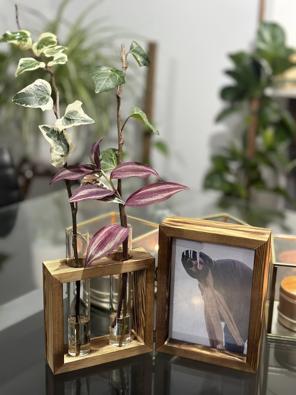AkSh Plants | 1 Custard Way, Manor Lakes VIC 3024, Australia | Phone: 0414 410 227