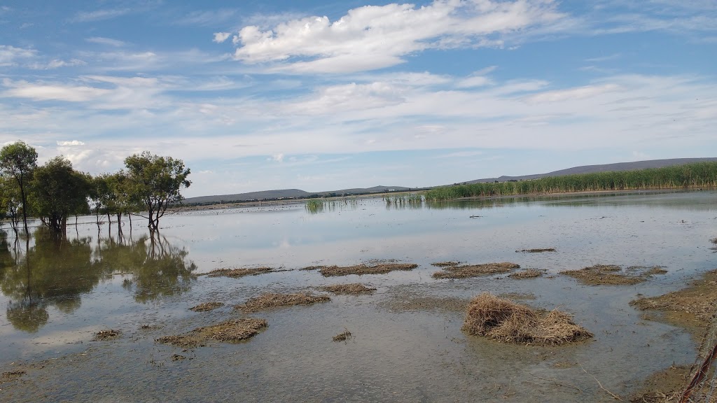 Fivebough and Tuckerbil Wetlands | park | Leeton NSW 2705, Australia | 0269601343 OR +61 2 6960 1343