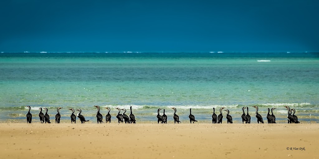 Sun Fox Sand Bar | Queensland, Australia