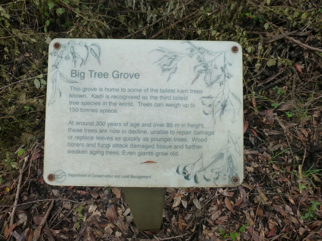 Big Tree Grove | park | Shannon WA 6262, Australia