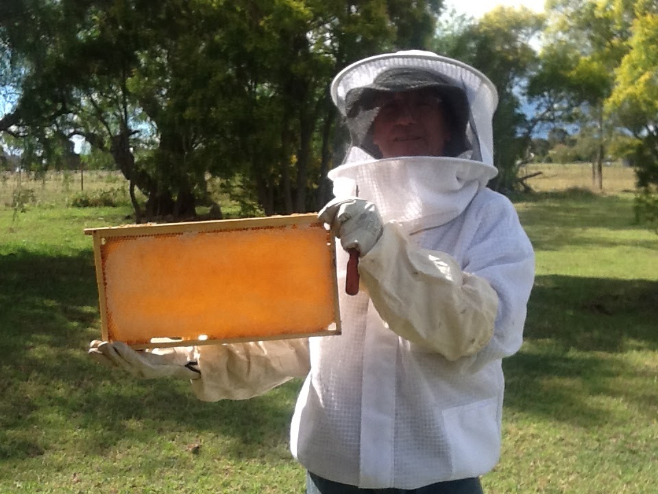 Geebung Honey Supplies - Pure & Natural |  | 12 Simla Ave, Geebung QLD 4034, Australia | 0423156429 OR +61 423 156 429
