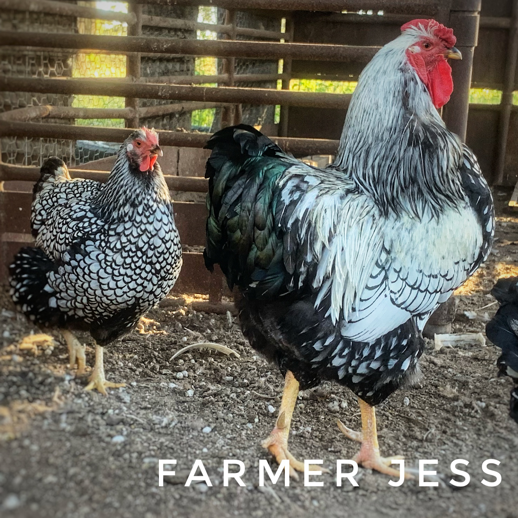 Farmer Jess | school | 366 McMullins Rd, Branxton NSW 2335, Australia | 0457374436 OR +61 457 374 436