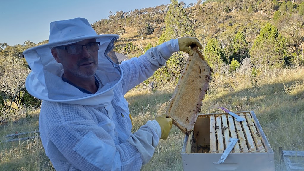 Beeswing homestead | R4GQ+VP, Bunyan NSW 2630, Australia | Phone: 0498 128 075