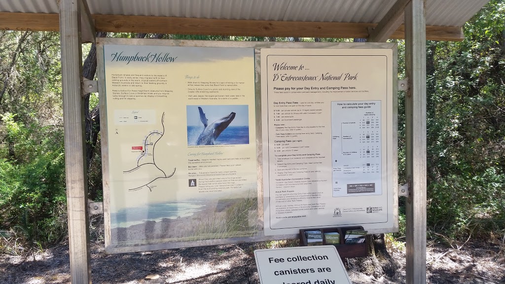 Humpback Hollows Campsite | Lake Jasper WA 6260, Australia