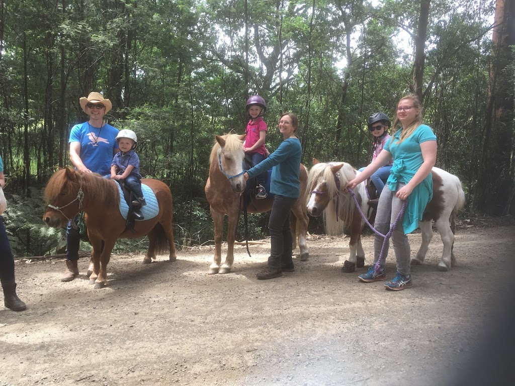 Melbournes Pony Parties and Forest Rides | point of interest | Broadford Rd, Flowerdale VIC 3717, Australia | 0417330948 OR +61 417 330 948