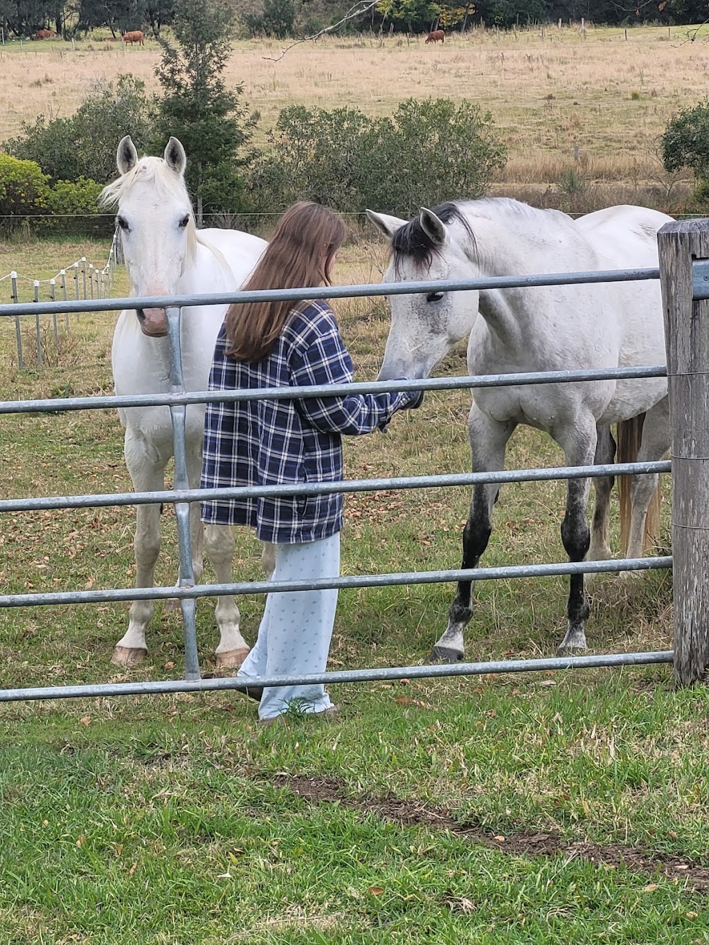 Sabrina Stephens Equine Assisted Therapy | 3434 Kerry Rd, Darlington QLD 4285, Australia | Phone: 0413 760 263