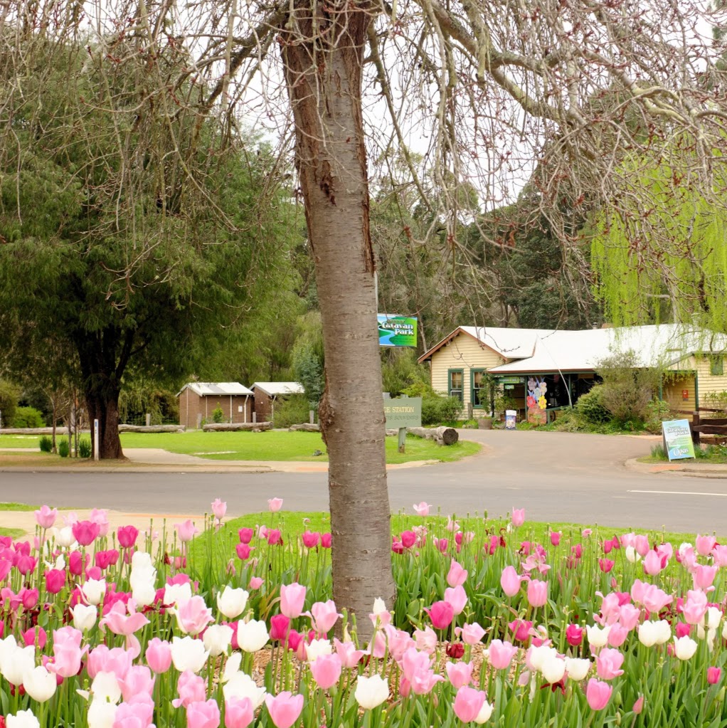 Nannup Caravan Park | 4 Brockman St, Nannup WA 6275, Australia | Phone: (08) 9756 1211